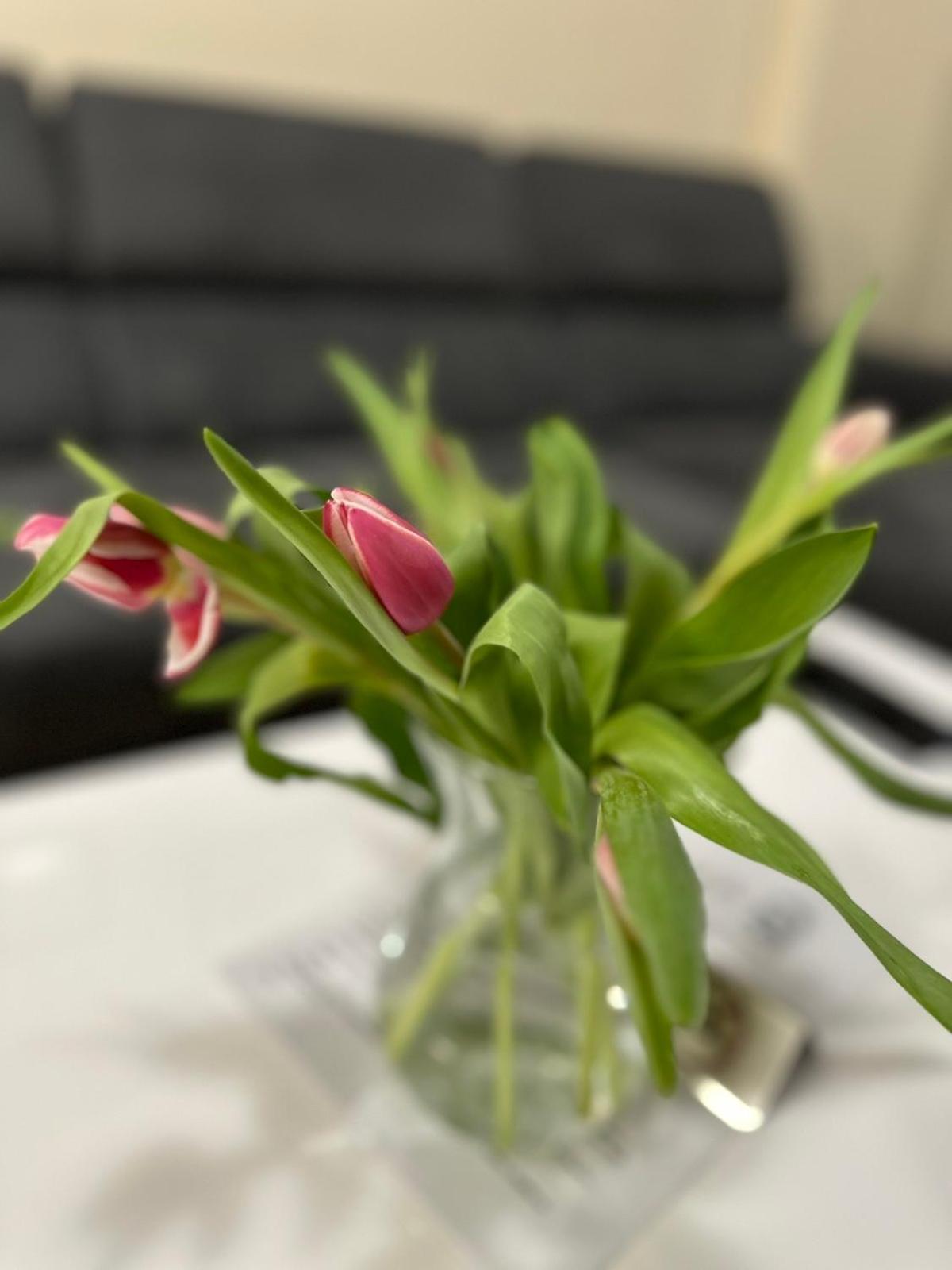 Center Elegant Living Апартамент